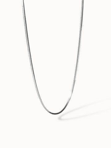 {"color":"Silver", "type":"lead_image"}