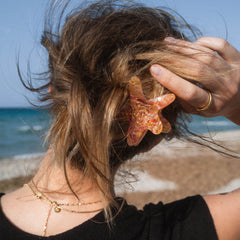 Pince à cheveux Starfish