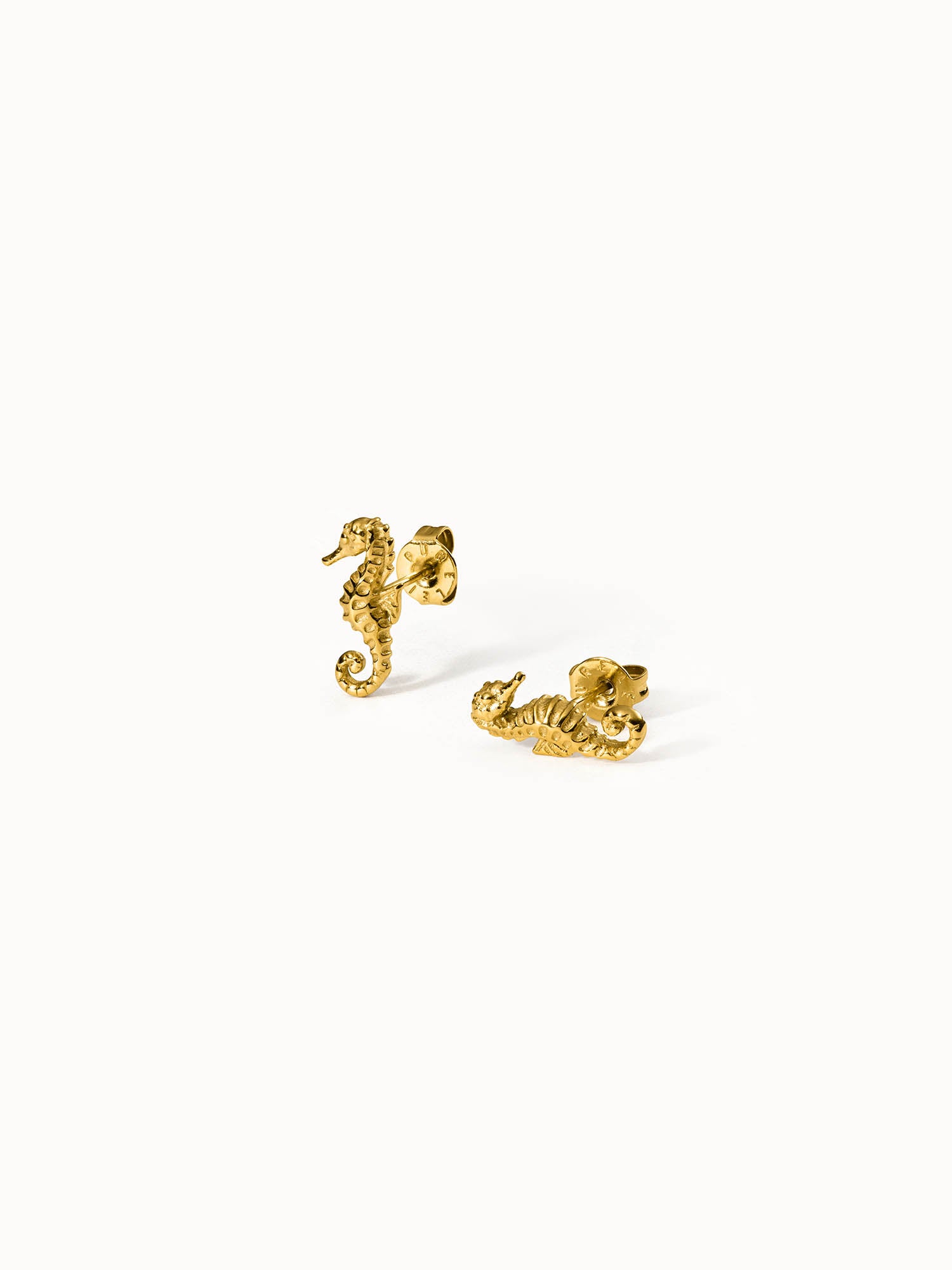 Seahorse Earrings