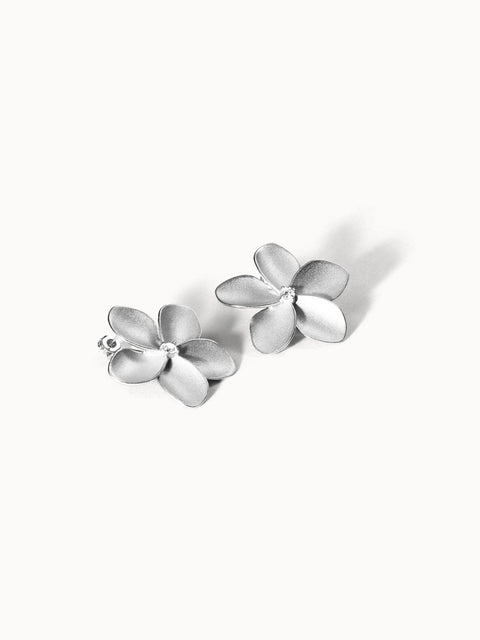 {"color":"Silver", "type":"lead_image"}