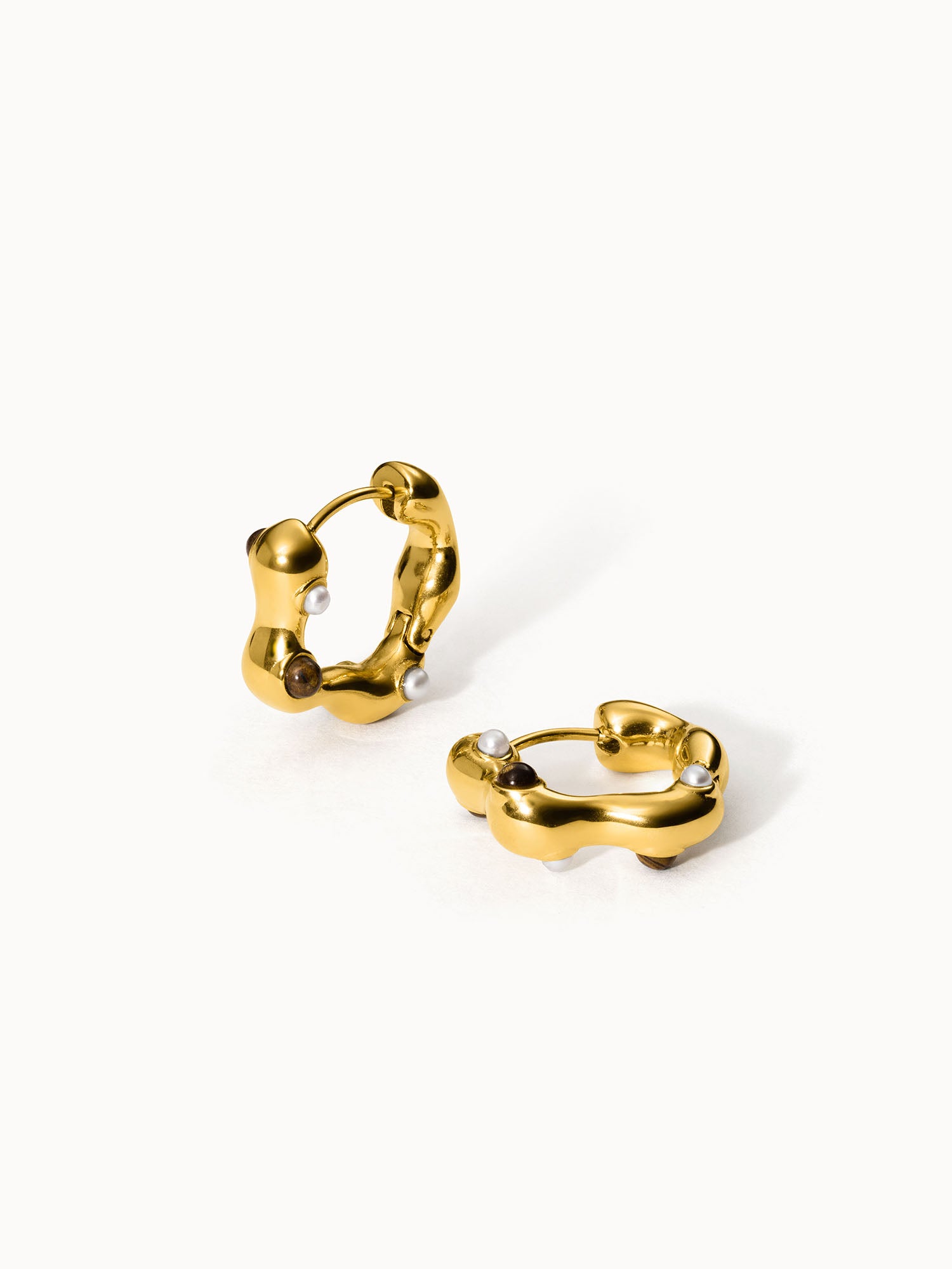 Golden Gaze Earrings