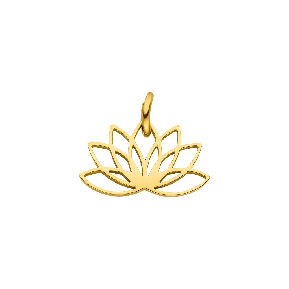 Lotus bedel