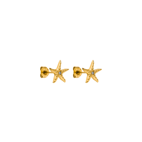 PURELEI Aloha Starfish Ohrringe aus 18K vergoldetem Edelstahl mit funkelndem Zirkonia – femininer Island-Spirit.