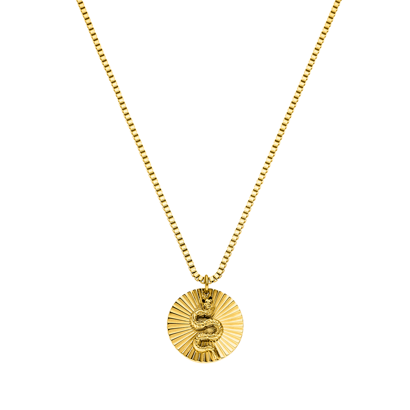 PURELEI Snake Coin Kette in 18K Gold mit geprägtem Schlangensymbol, elegant und nickelfrei, zeitlos feminin.
