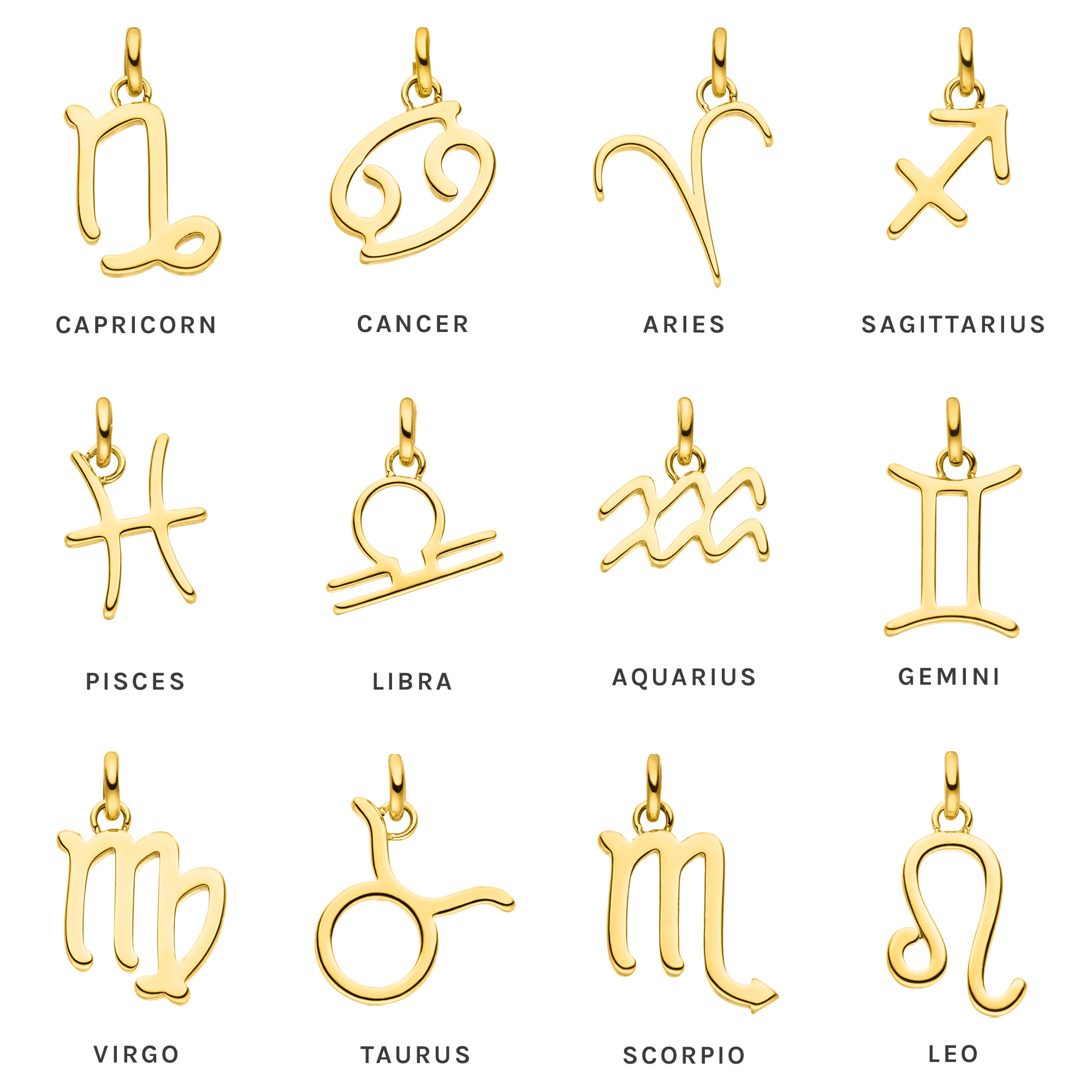 Zodiac Charm Aquarius